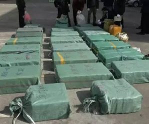 云南警方初一破获特大武装贩毒案 缴获毒品660斤