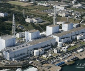 外交部：高度关注福岛核泄漏影响 望日方作出说明