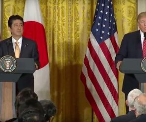 特朗普安倍会面经贸话题受关注 美元涨至本月新高