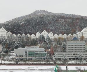朝鲜大学工作人员前往美国 在10所大学征集外教