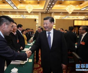 习近平看望民进、农工党、九三学社委员并参加联组会