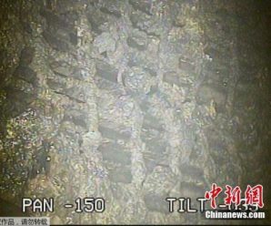 福岛核电站辐射量高 机器人“阵亡”致调查再度失败