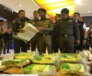 中国人在泰国参加“黑导游”培训被捕