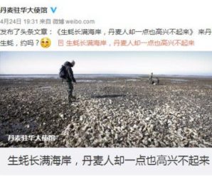 丹麦大使馆回应“生蚝事件”：若中方允许可考虑出口