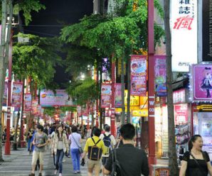 蔡英文上任不足一年 赴台大陆游客锐减百万人次