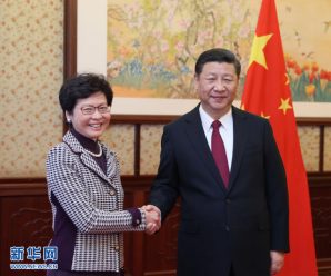 习近平会见林郑月娥：符合中央标准当选实至名归
