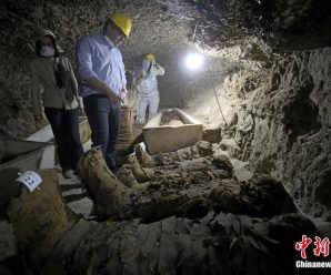 埃及古墓出土17具人类木乃伊
