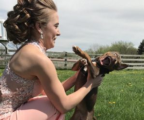 美女和爱犬合影亲吻遭拒 小狗表情亮了