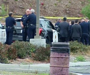 美国15岁报案学生向警察举玩具枪 被连开多枪打死
