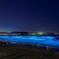 夜光虫大量繁衍 日本“荧光海滩”唯美梦幻