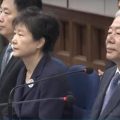 朴槿惠能获得特赦？专家：韩国民不允许文在寅这么做