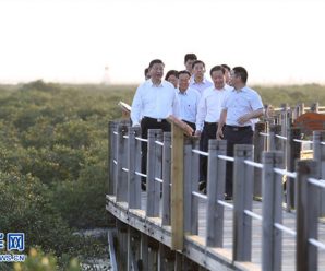 十八大以来习近平反复强调“绿水青山”