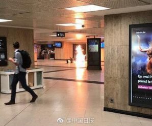 比利时布鲁塞尔中央火车站发生爆炸 检方确认为恐袭