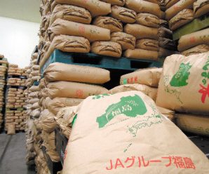 欧盟拟取消福岛大米进口限制 或有助日本食品出口