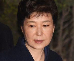 朴槿惠审判将用电视直播？在野党：有舆论审判危险