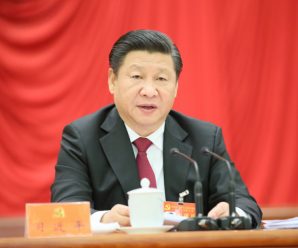 习近平：敢于担当善谋实干锐意进取 深入扎实推动地方改革工作