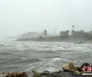 飓风哈维登陆美国：12年来最强飓风 数十万人逃离