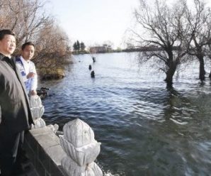 习近平高度重视生态文明建设：生态兴则文明兴