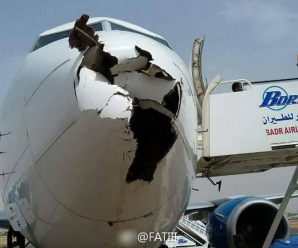 飞机空中撞鸟 机鼻被直接击穿