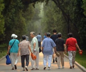 IMF：中日韩泰迅速步入老龄化社会 或致年GDP降1%