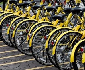 中国共享单车如何影响世界？英媒：汽油需求增长放缓