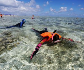 港媒：西沙群岛受内地游客欢迎 成海南旅游热点