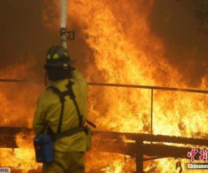 山火肆虐致15人丧生 美国加州成为联邦“重大灾区”