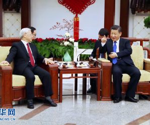 习近平同越共中央总书记阮富仲举行会谈