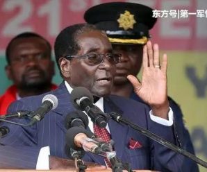 津巴布韦军方否认政变，那是什么？