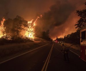 加州大火蔓延致三万人撤离，驾车经过如经历“地狱之路”