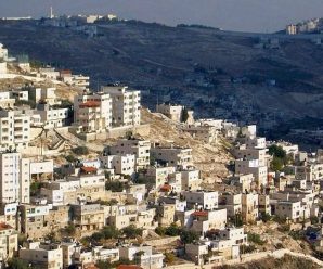 伊斯兰合作组织承认东耶路撒冷为巴勒斯坦国首都