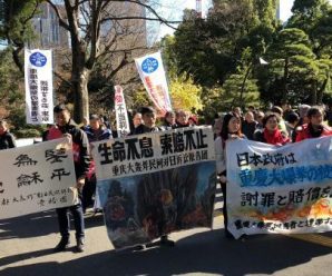 重庆大轰炸民间对日索赔团已向日本最高法院提出上诉
