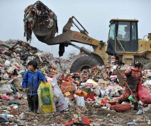中国拒绝“洋垃圾”切断法国公司财源 法媒：如同落下铡刀