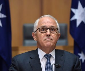 澳前外长被曝捅破“通俄门” 澳总理称无损澳美关系