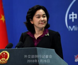 外交部回应政府发表《中国的北极政策》白皮书时机：水到渠成