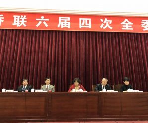 泰国统促会王志民会长出席吉林侨联六届四次全委会