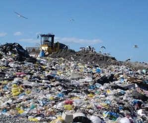 澳媒：洋垃圾禁令刺激中国本土回收业