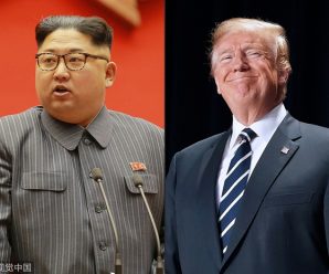 特朗普与金正恩会晤地点定了？朝鲜外相突访瑞典引猜测