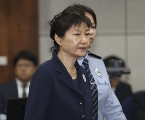 朴槿惠审判将电视直播 韩媒：本人或缺席宣判