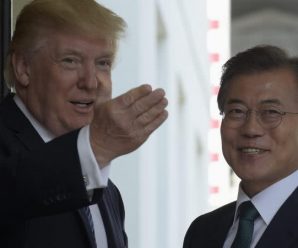 听到文在寅建议自己拿诺贝尔和平奖 特朗普乐坏了