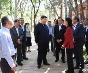 新华社评论员：办出中国特色世界一流大学
