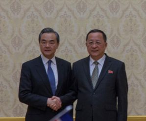 王毅同朝鲜外相会谈：中方全力支持半岛北南双方改善关系
