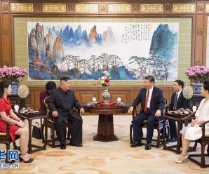 习近平会见朝鲜劳动党委员长金正恩