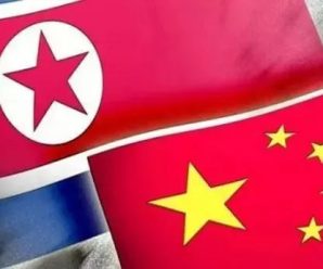 习近平3个月内第三次见金正恩，都聊了什么