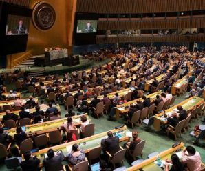 德国等5国当选联合国安理会非常任理事国 明年元旦开始任期