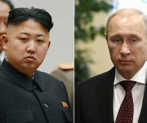 俄罗斯官员：普京与金正恩可能今年秋季进行会晤