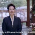 彭丽媛在联合国大会上发表视频讲话