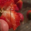 澳洲“草莓藏针案”告破 “恶作剧”男孩或将入狱15年