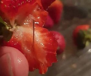澳洲“草莓藏针案”告破 “恶作剧”男孩或将入狱15年