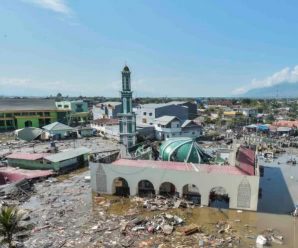 印尼强震及海啸灾害遇难者升至1649人 另有256人失踪